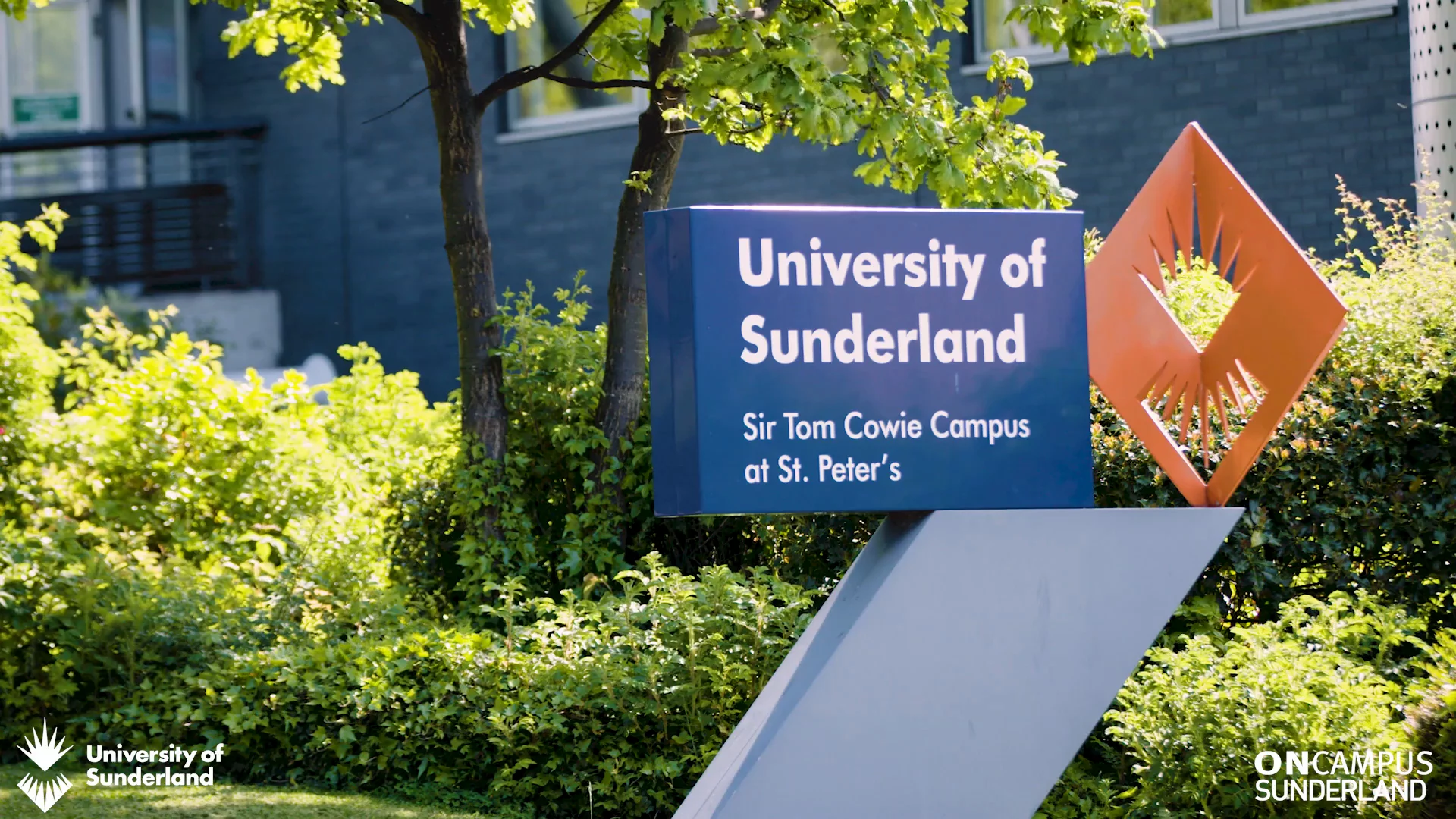 foreign study consultancy